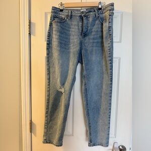 Classic Blue Women's Straight Leg Jeans Time and Try size 14